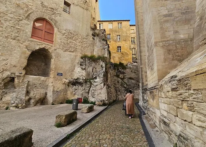 Petit Palais: Palais Des Papes