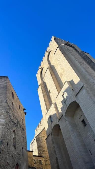 Apartamento Petit Palais: Palais Des Papes