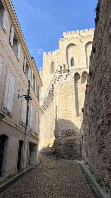 Petit Palais: Palais Des Papes Apartment Avignon