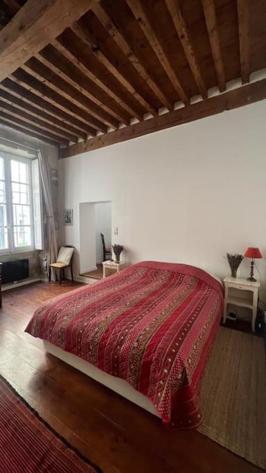Apartment Petit Palais: Palais Des Papes *