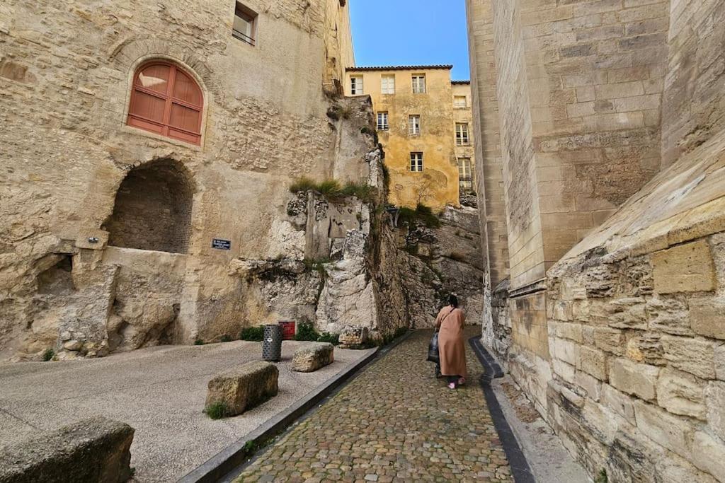Petit Palais: Palais Des Papes Apartment Avignon